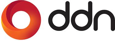 Logo ddn